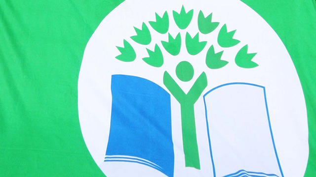 Green Schools Flag